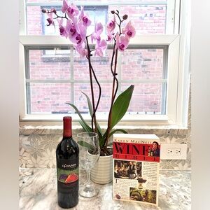 'The Wine Bible' - Softcover Book